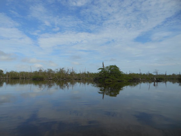 Suriname blog #10: Bigi, Bigi Pan