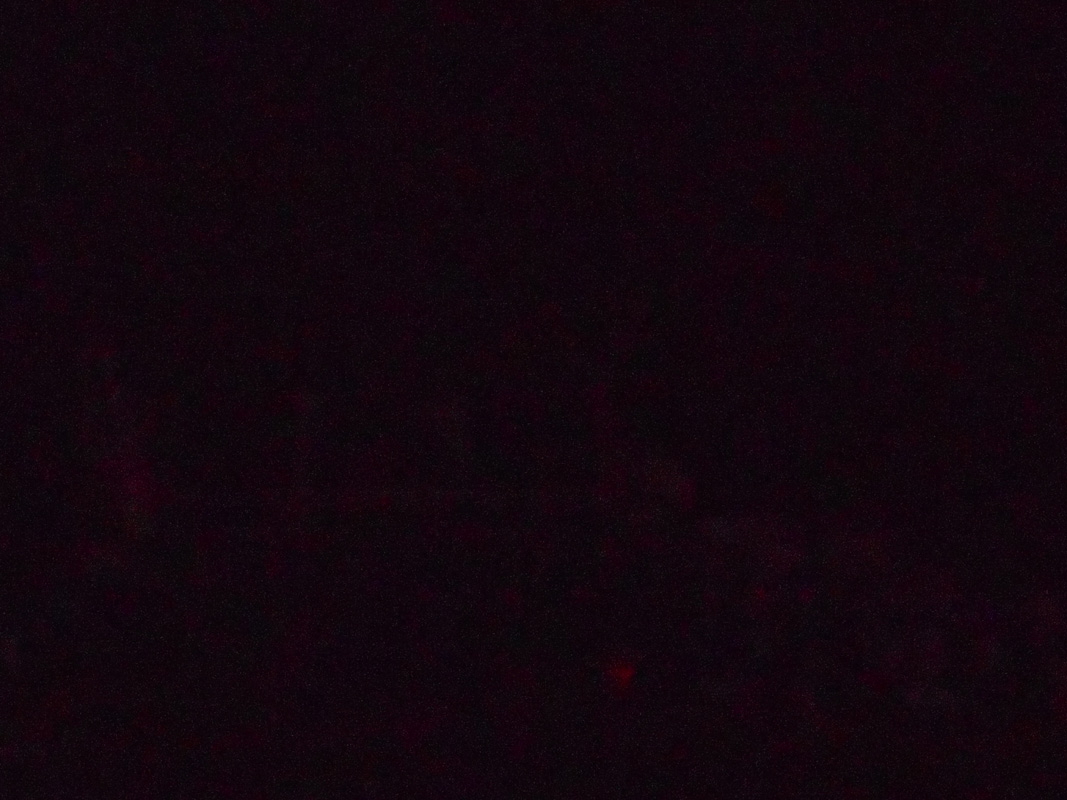 DSCN1042
